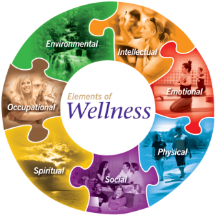 Wellness_Wheel